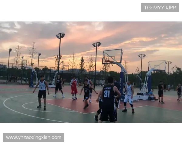 上海篮球队的全面转型与创新发展之路探讨