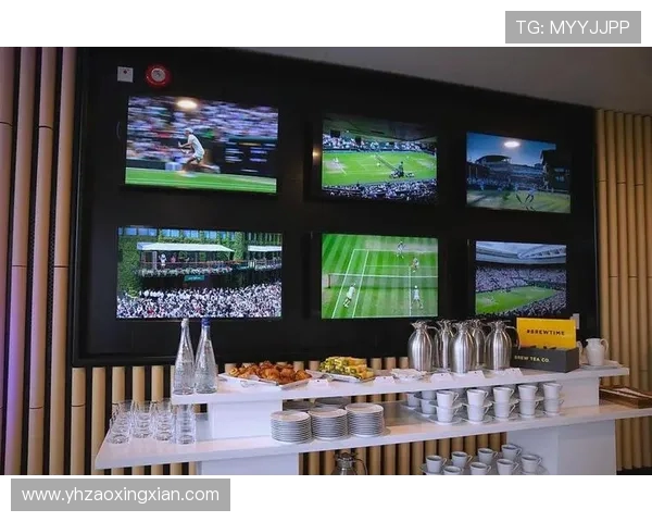 北京网球队运营策略深度分析与未来发展展望