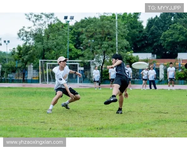 北京飞盘队近期状态分析与表现评估探讨