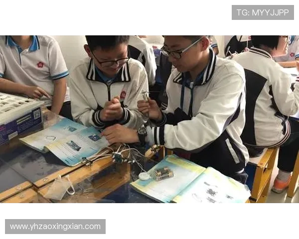 南京排球队转型纪实：从传统到现代的奋斗与蜕变之路