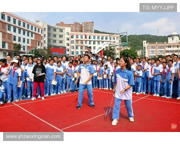 杨伟独家分享网球心得与技巧助你提升球技的秘诀与经验总结