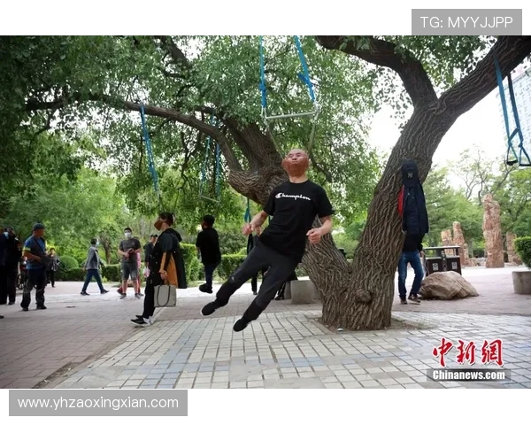 杭州极限运动队区域防守分析与战术调整探讨