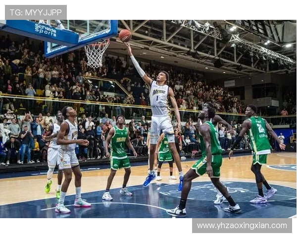 杭州篮球队挑战赛特别报道：从传统强队到现代化转型的全新征程