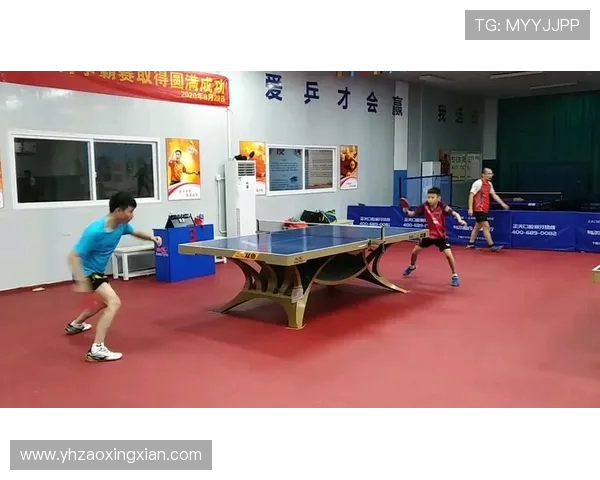 深圳乒乓球队比赛经验深度对比与启示分析