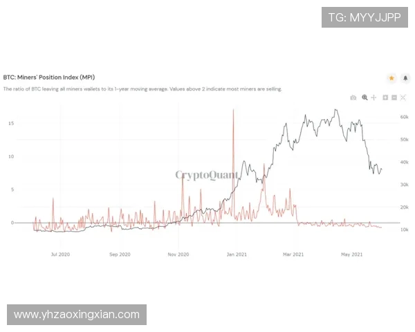 广州乒乓球队近期状态深度对比分析与未来发展趋势探讨