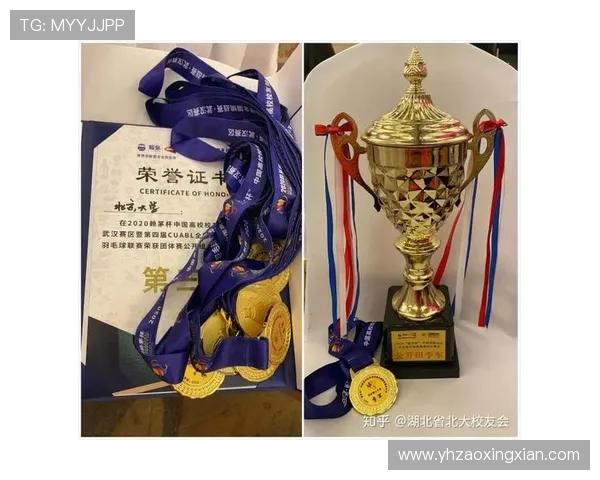 深圳羽毛球队技术分析与发展策略探讨之焦点研究