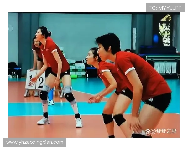 西安排球队实力引发热议球迷对排球战术与选手表现的不同看法