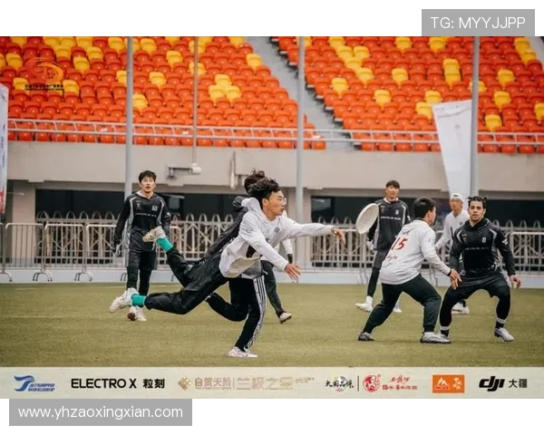 飞盘状态排行榜揭晓上海飞盘队荣获第五名佳绩引关注