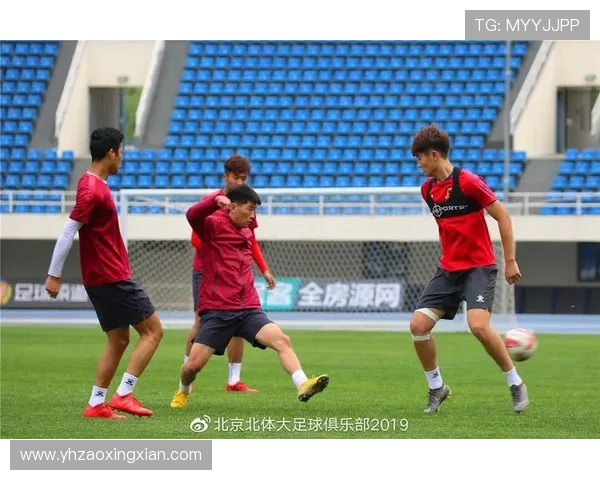 北京极限运动队个人能力分析与发展趋势探讨