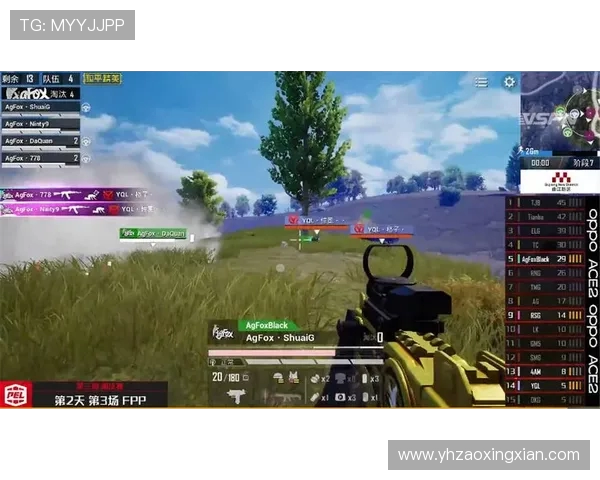 和平精英RNG战队个人能力分析与战术配合探讨