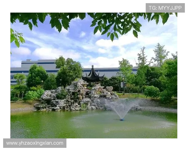 成都排球队的崛起之路：从默默无闻到钻石联赛的璀璨之星